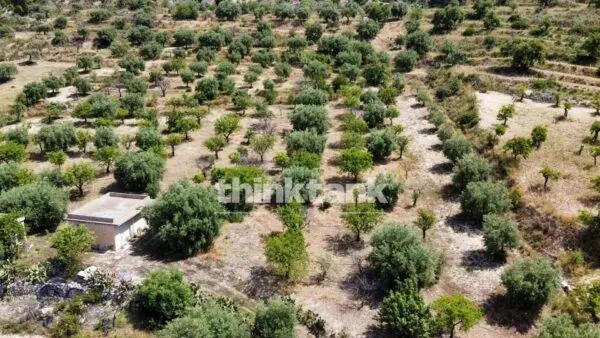 Terreno Agricolo SS 115 Sud Occidentale Sicula, Noto