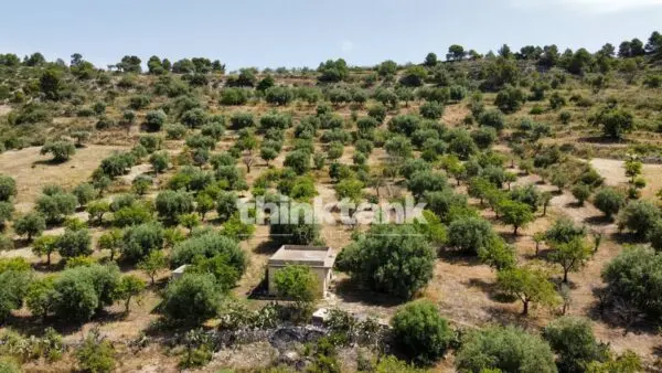 Terreno Agricolo SS 115 Sud Occidentale Sicula, Noto