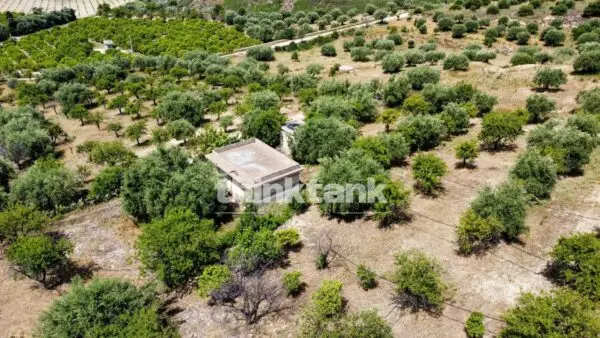 Terreno Agricolo SS 115 Sud Occidentale Sicula, Noto