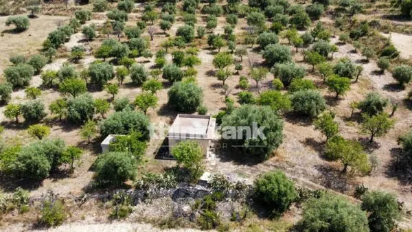 Terreno Agricolo SS 115 Sud Occidentale Sicula, Noto