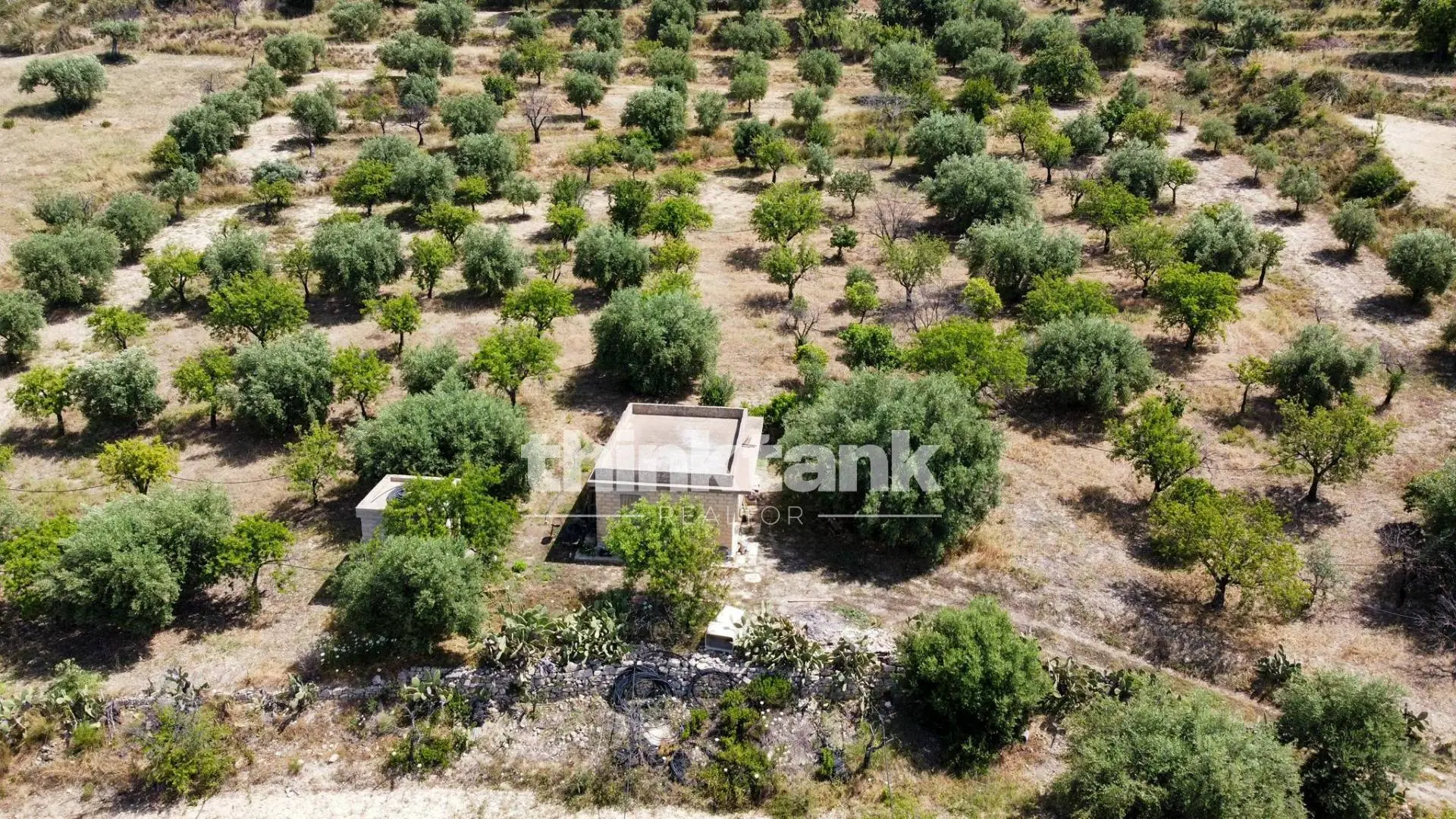 Immagine per Terreno Agricolo in vendita a Noto SS 115 Sud occidentale Sicula 