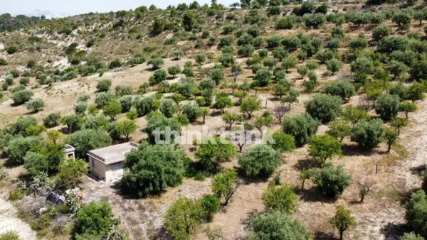 Terreno Agricolo SS 115 Sud Occidentale Sicula, Noto