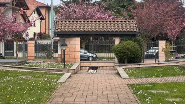 Appartamento via Ugo Foscolo, Gorla Minore