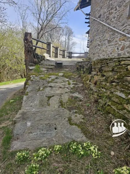 Immagine per Rustico/Casale in vendita a Viù  
