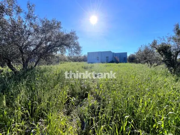 Villa via Contrada Tribastone, Ragusa