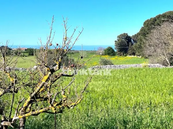 Villa via Contrada Tribastone, Ragusa