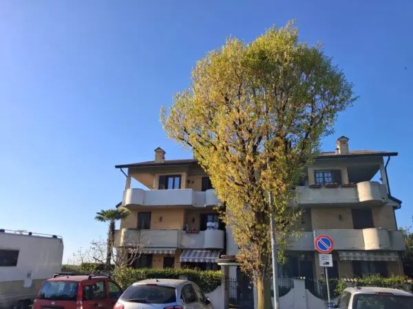 Appartamento via Venezia 50, Nova Milanese