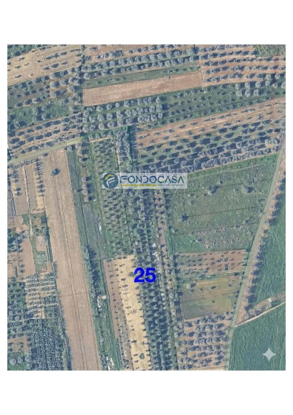 Immagine per Terreno Industriale in vendita a Supersano strada vicinale stracca snc