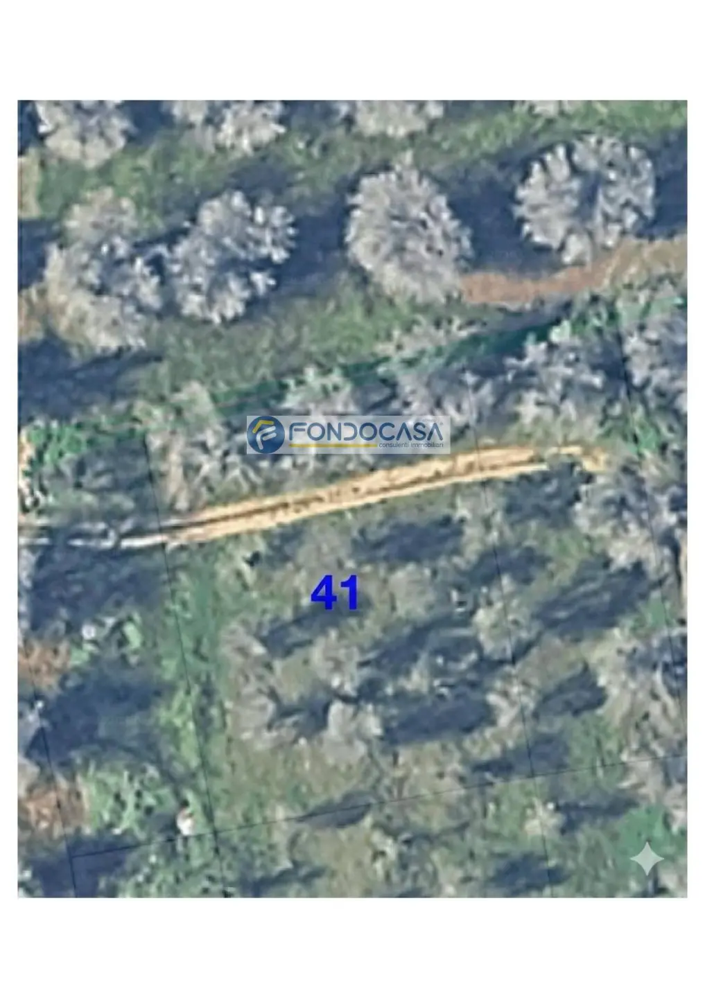 Immagine per Terreno Industriale in vendita a Supersano strada vicinale stracca snc