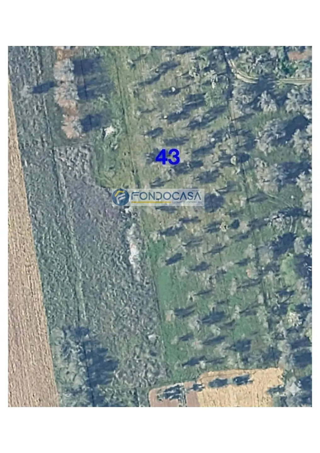 Immagine per Terreno Industriale in vendita a Supersano strada vicinale stracca snc