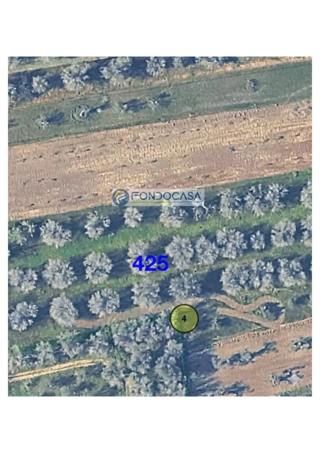 Immagine per Terreno Industriale in vendita a Supersano strada vicinale stracca snc