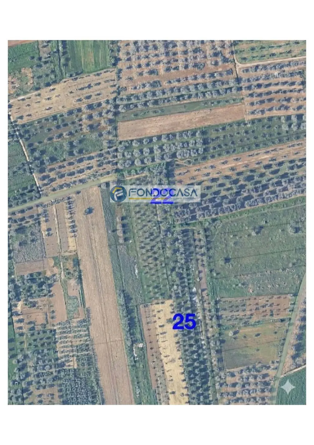 Immagine per Terreno Industriale in vendita a Supersano strada vicinale stracca snc