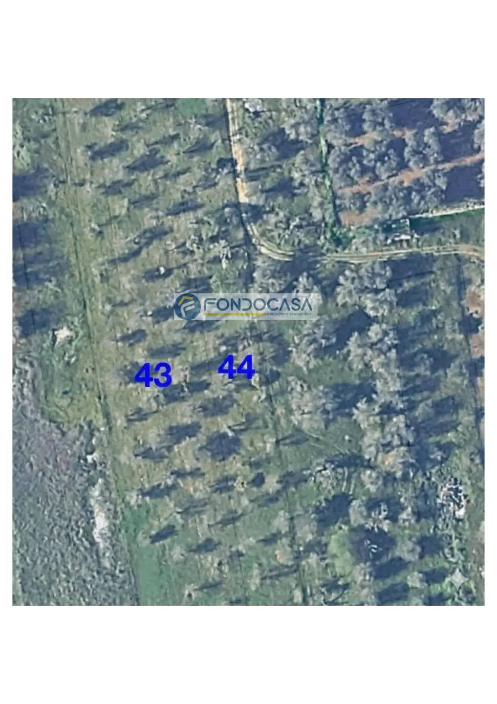 Immagine per Terreno Industriale in vendita a Supersano strada vicinale stracca snc