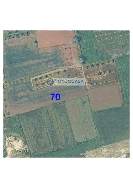 Terreno Industriale strada Vicinale Mimmo Snc, Matino