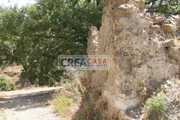 Terreno Agricolo via, San Teodoro