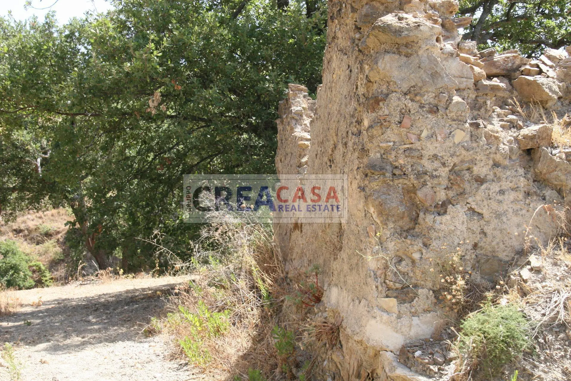 Immagine per Terreno Agricolo in vendita a San Teodoro  