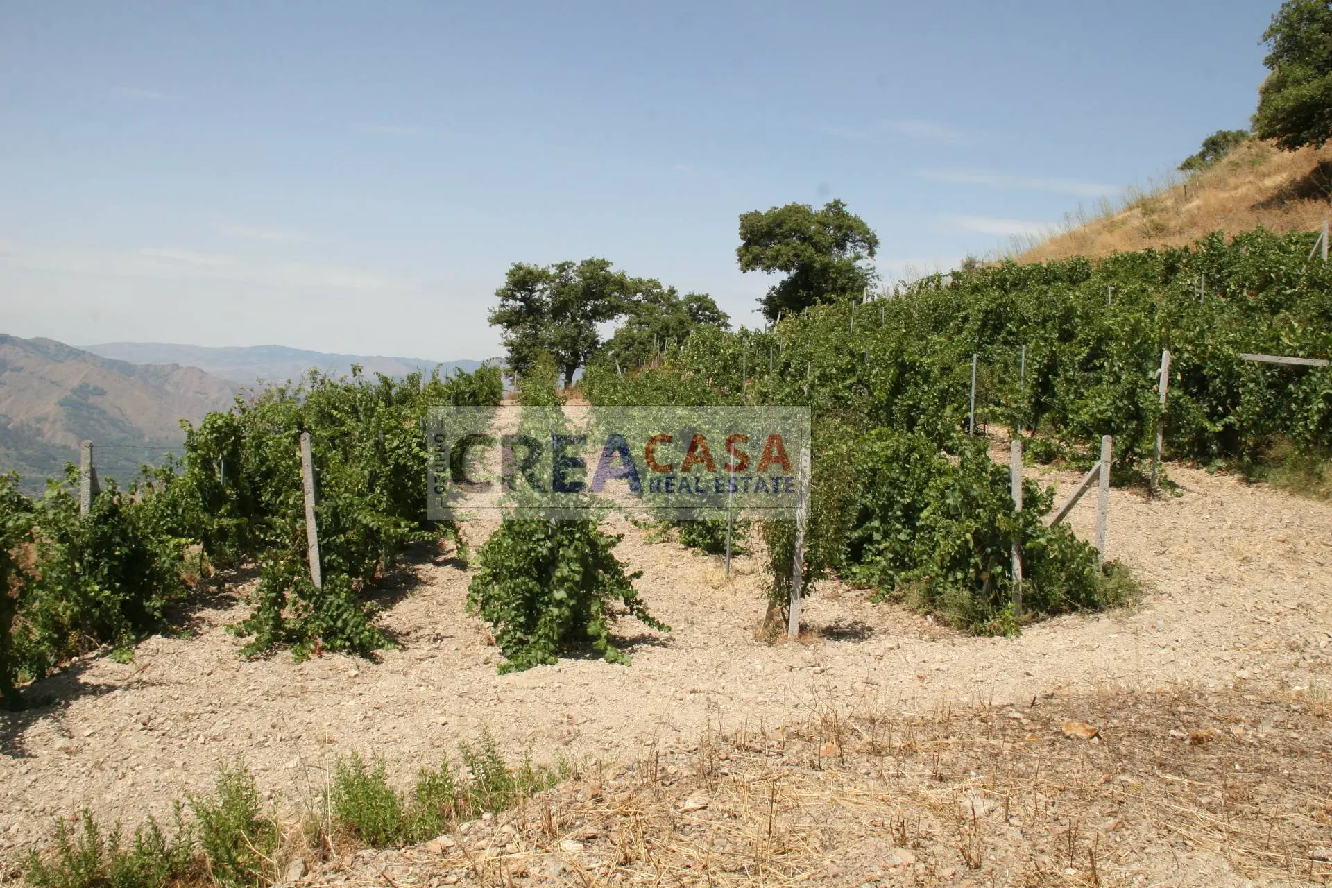 Immagine per Terreno Agricolo in vendita a San Teodoro  