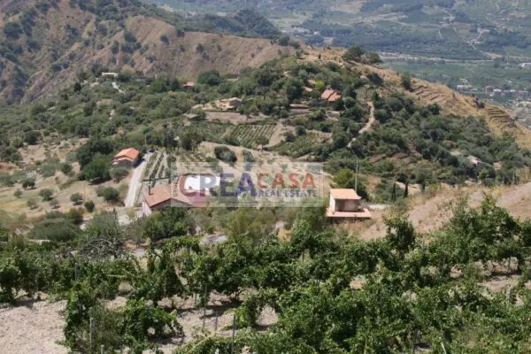 Terreno Agricolo via, San Teodoro