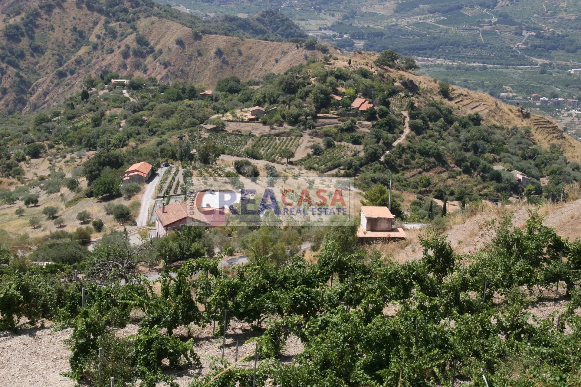 Immagine per Terreno Agricolo in vendita a San Teodoro  