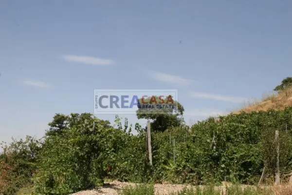 Terreno Agricolo via, San Teodoro