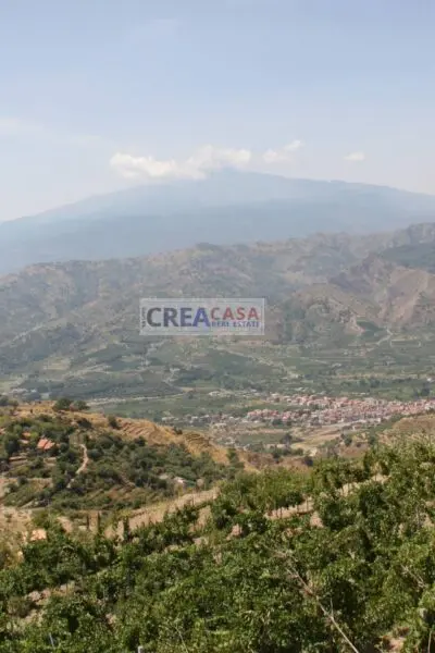 Terreno Agricolo via, San Teodoro