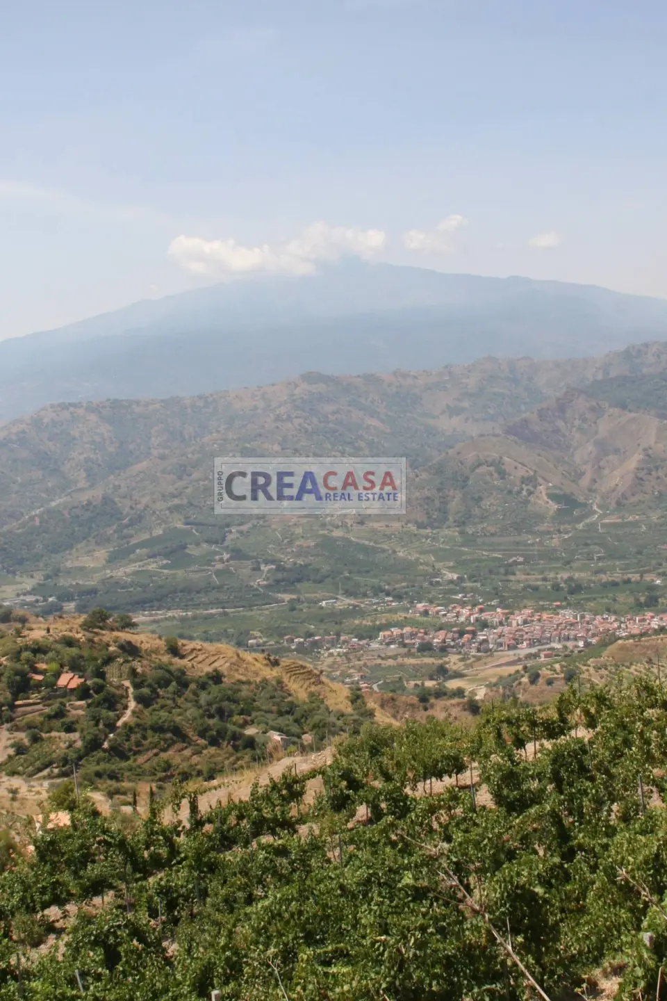 Immagine per Terreno Agricolo in vendita a San Teodoro  