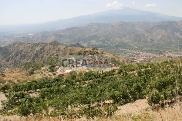 Terreno Agricolo via, San Teodoro