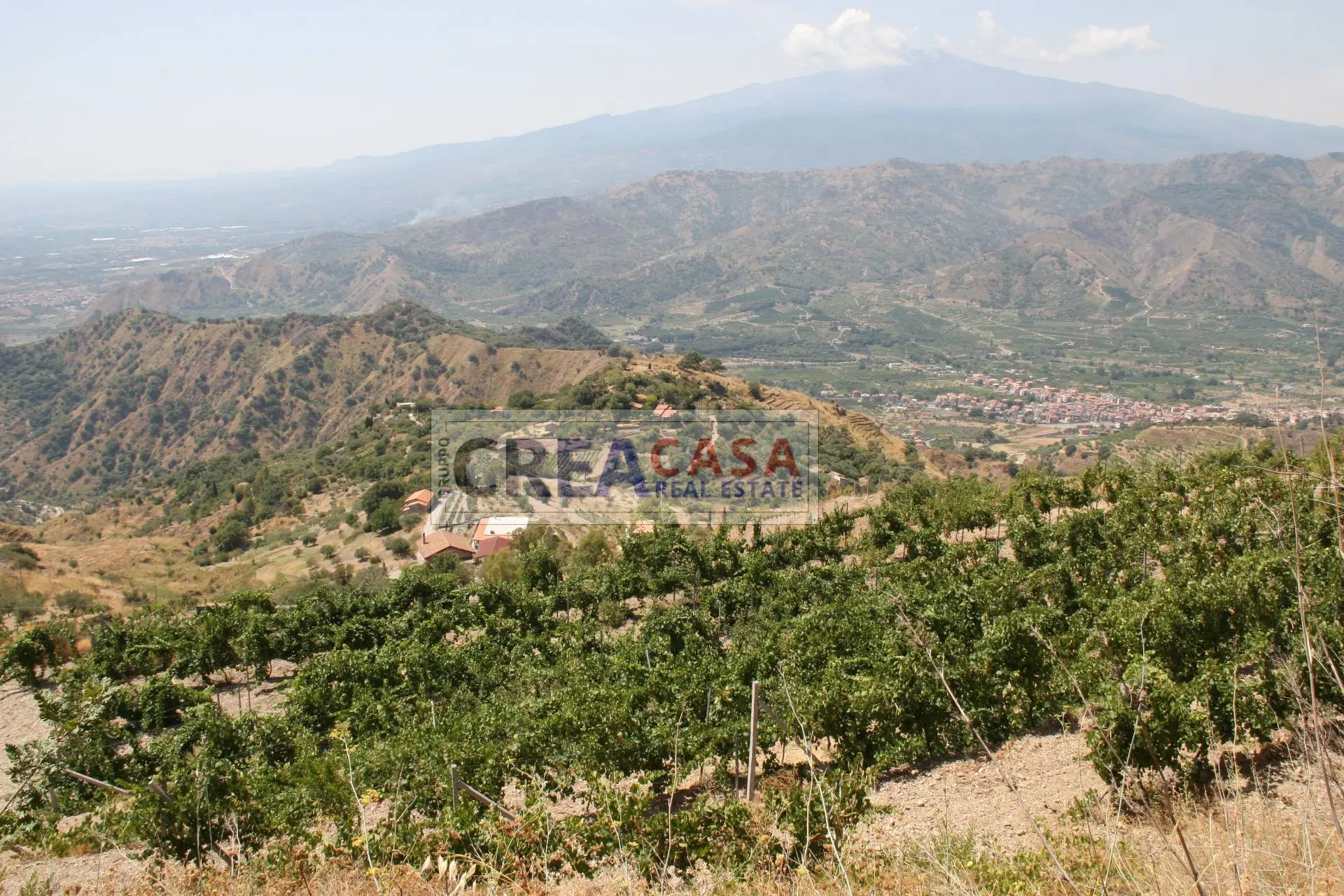 Immagine per Terreno Agricolo in vendita a San Teodoro  