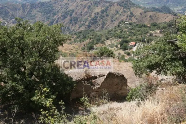 Terreno Agricolo via, San Teodoro