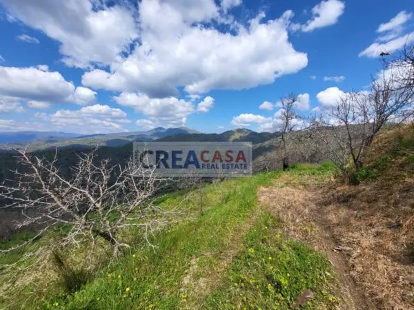 Terreno Agricolo via, San Teodoro