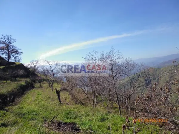 Terreno Agricolo via, San Teodoro