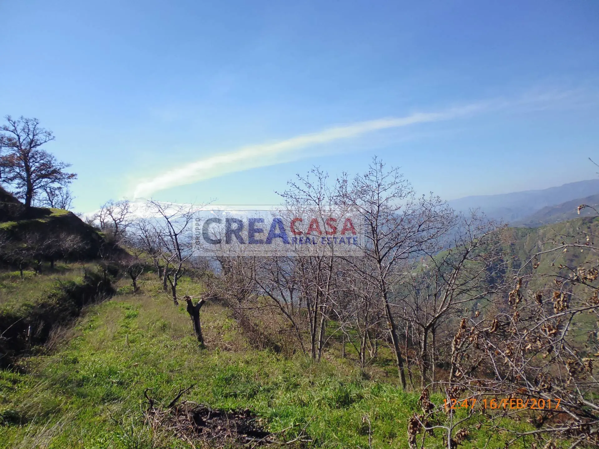 Immagine per Terreno Agricolo in vendita a San Teodoro  