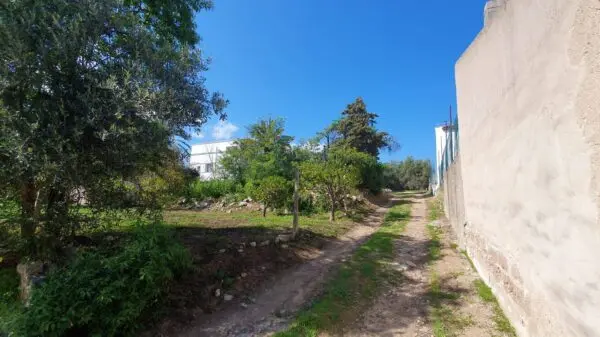 Villa via Centrale 20, Olbia