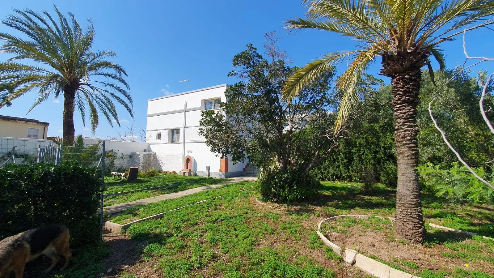Immagine per Terreno Edificabile in vendita a Olbia Centrale 