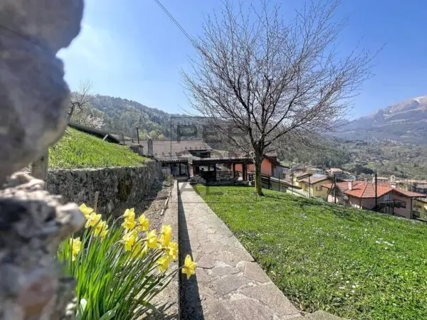 Casa Indipendente via, Volano