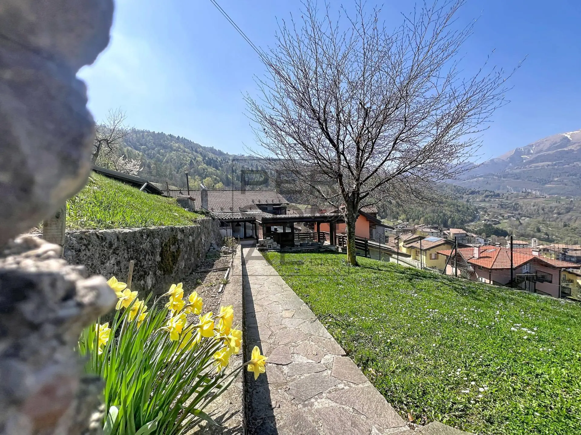 Immagine per Casa indipendente in vendita a Volano  