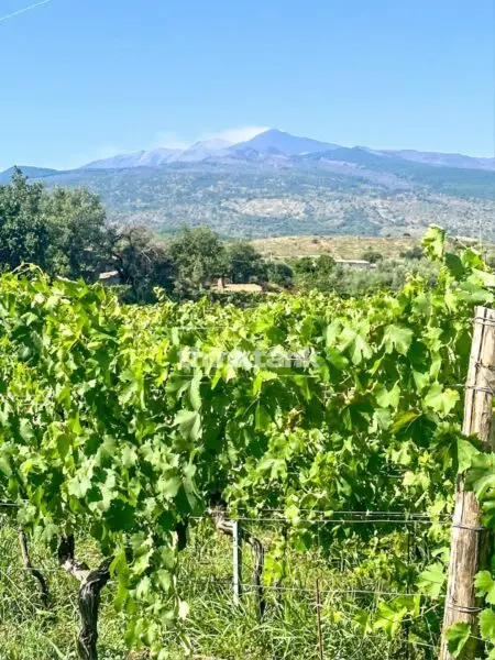 Villa via Verzella, Castiglione Di Sicilia