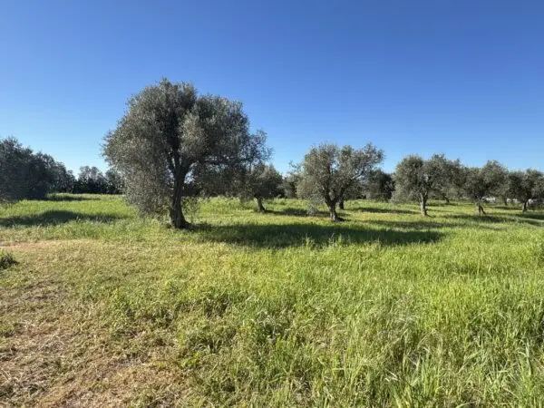 Magazzino Monastir