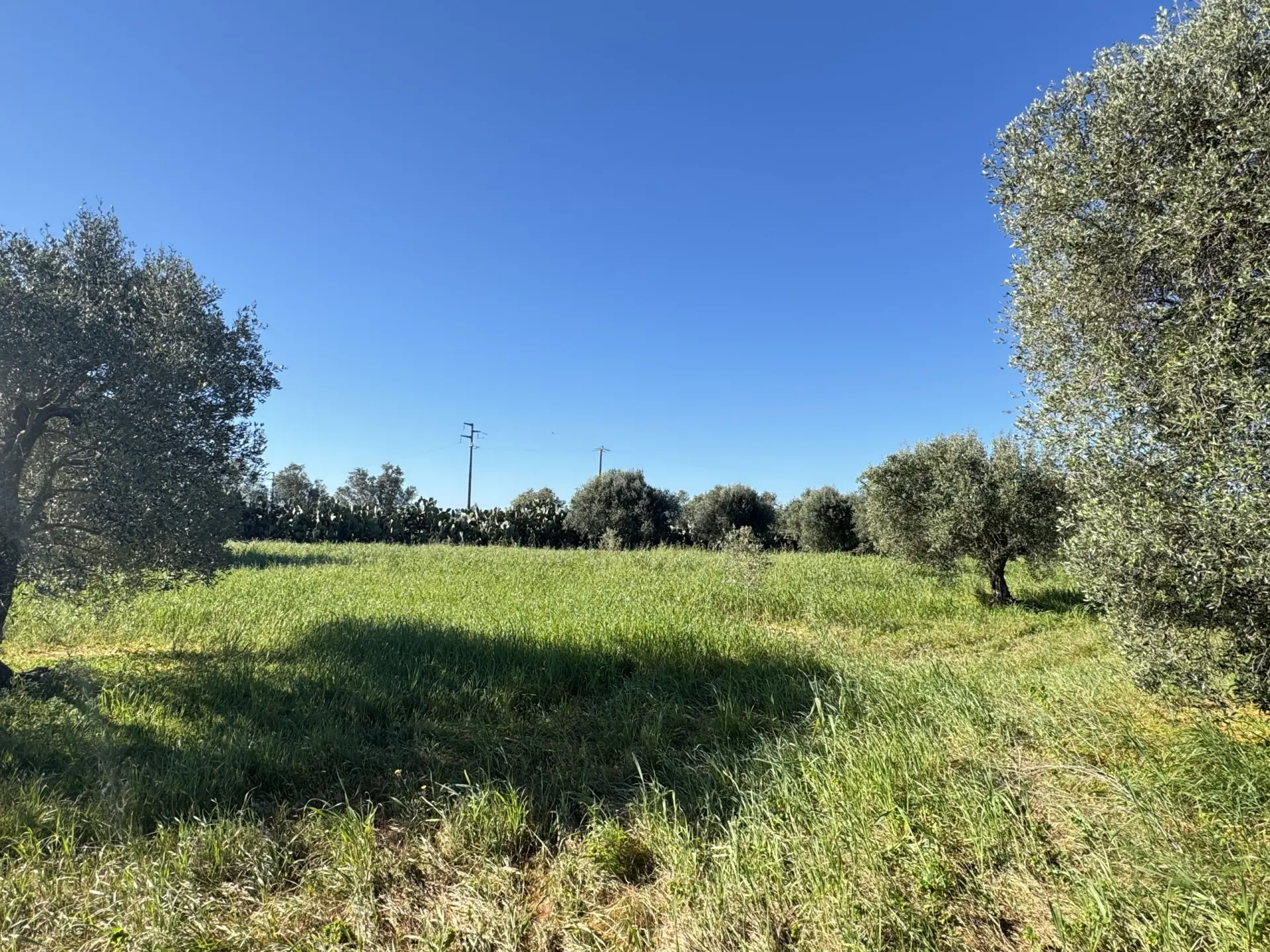 Immagine per Magazzino in vendita a Monastir via Zona Industriale