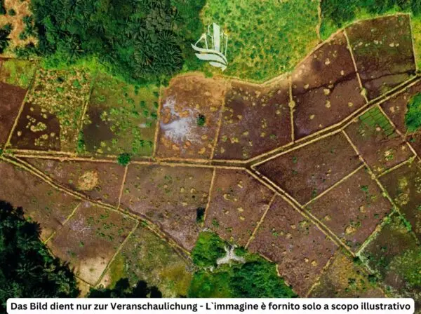 Casa Indipendente Naturno