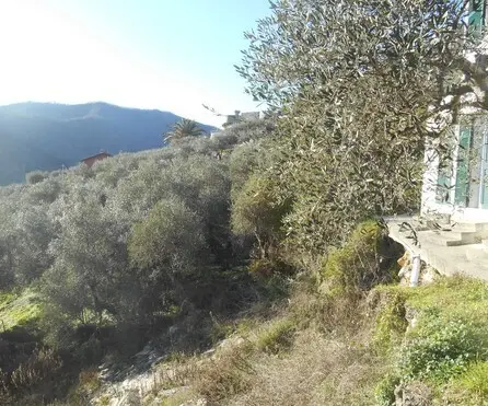 Villa via Iv Novembre Snc, Leivi