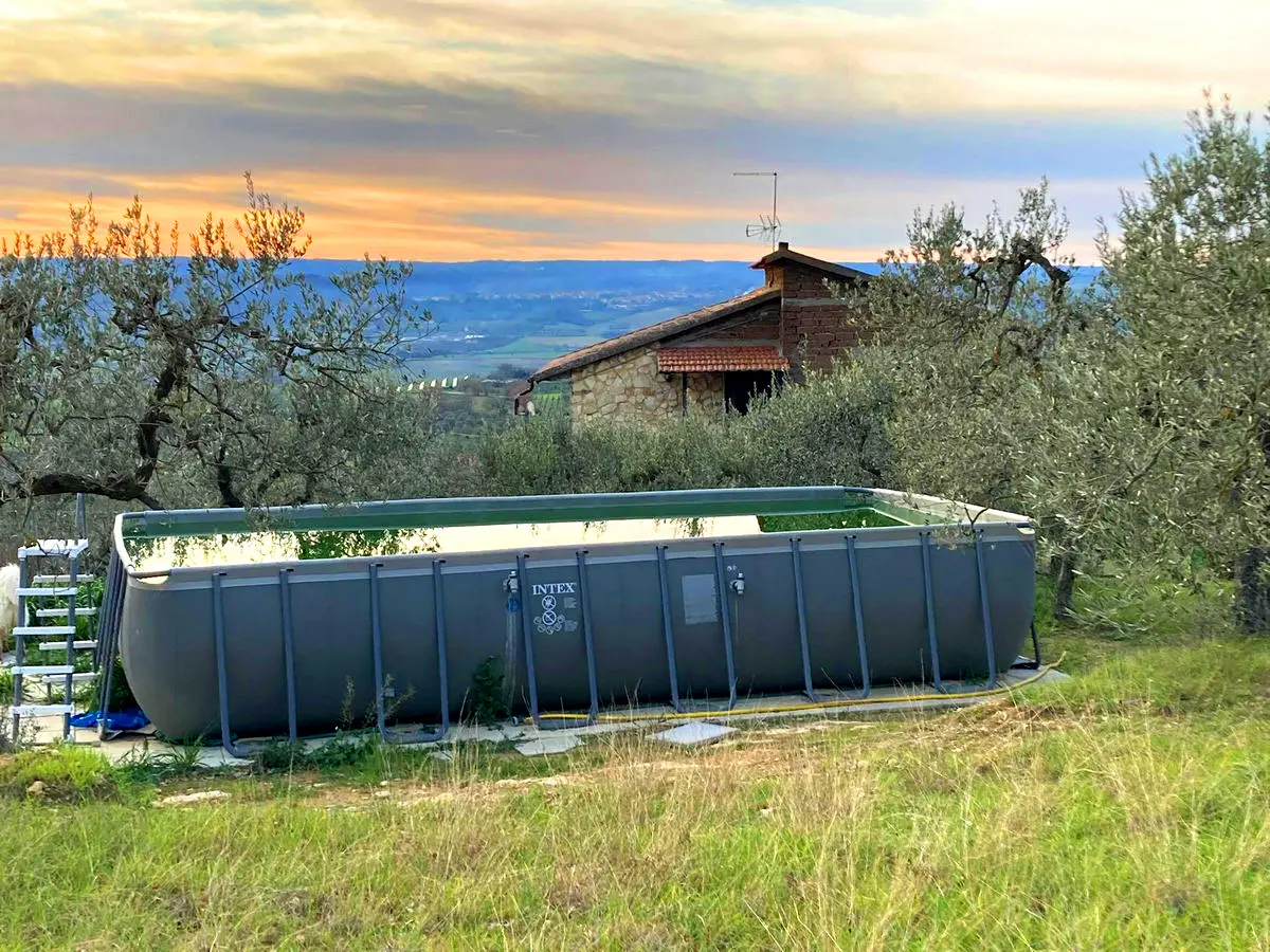 Immagine per Casale in vendita a Montecchio via Sp 34