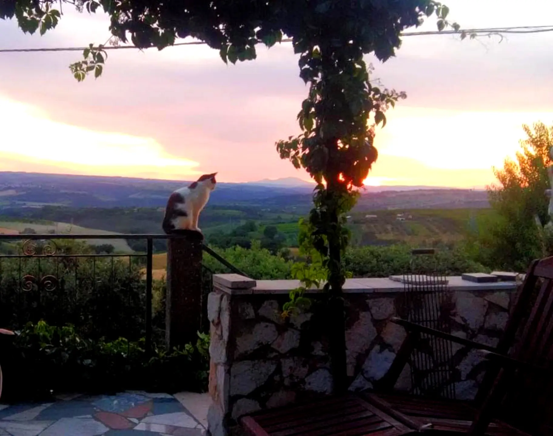 Immagine per Casale in vendita a Montecchio via Sp 34