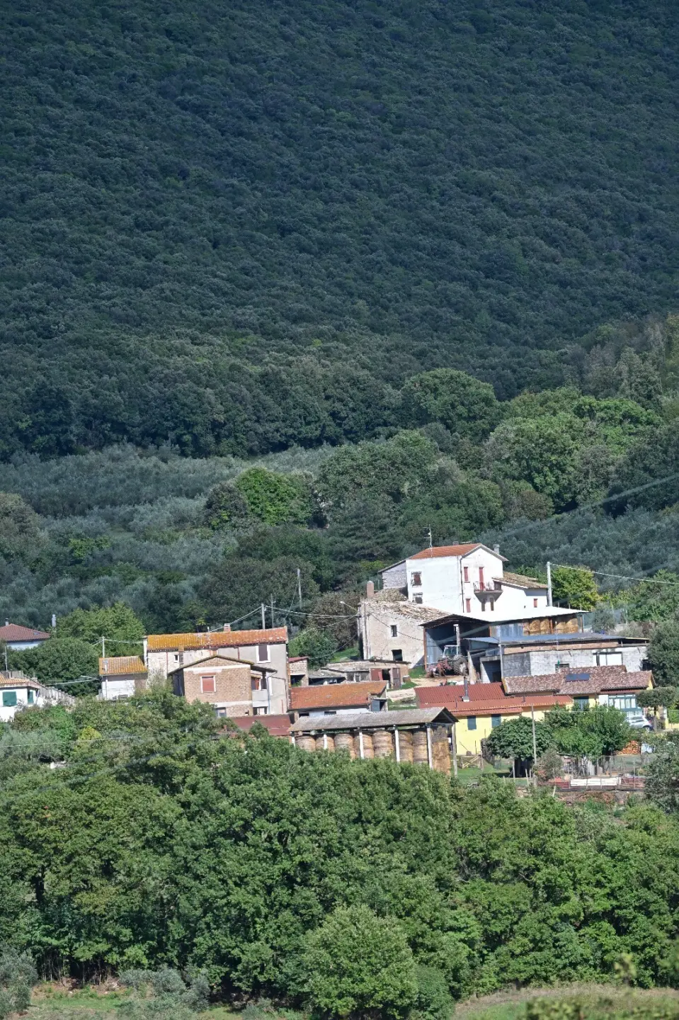 Immagine per Porzione di casa in vendita a Guardea via Cocciano