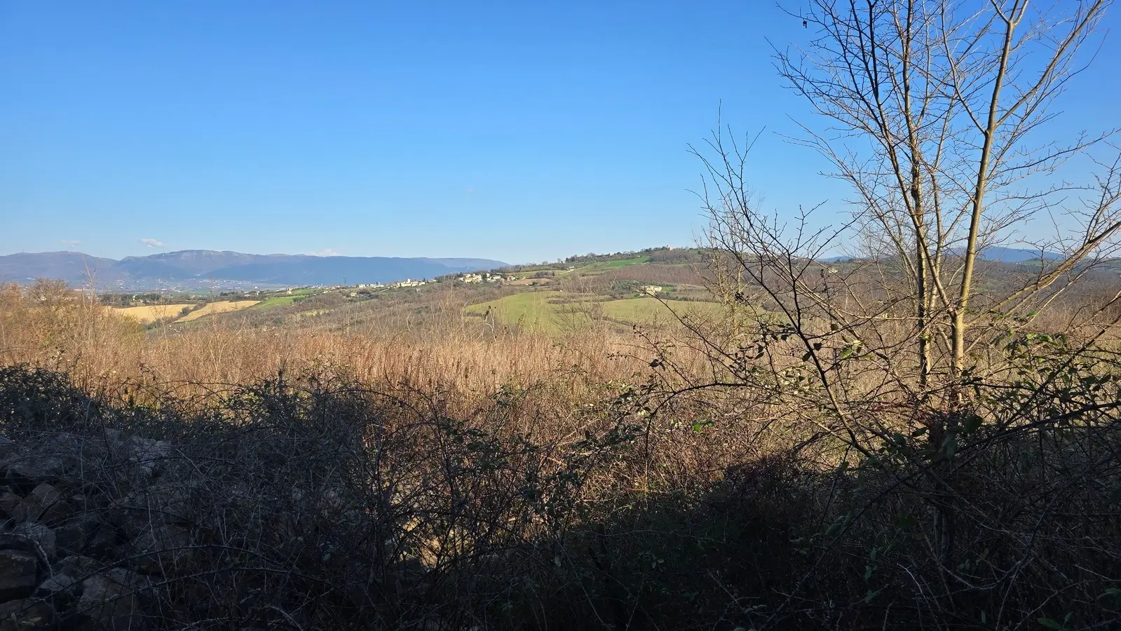Immagine per Rustico in vendita a Todi via Frazione Romazzano