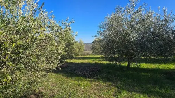Rustico via Frazione Romazzano, Todi