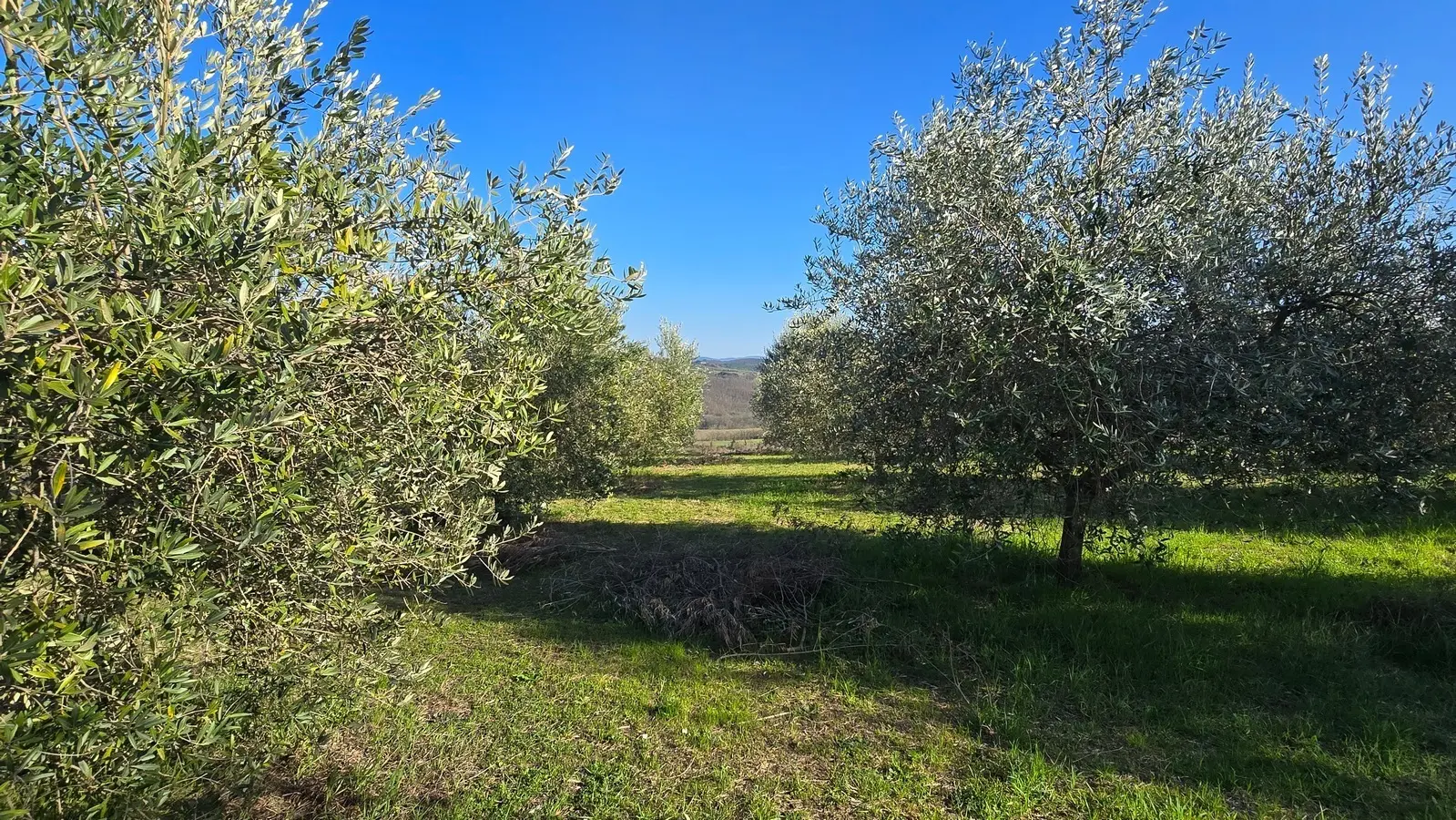 Immagine per Rustico in vendita a Todi via Frazione Romazzano