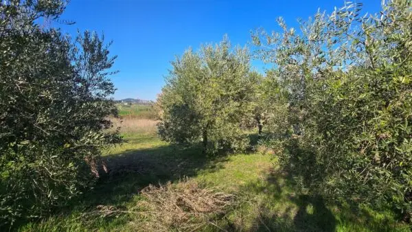 Rustico via Frazione Romazzano, Todi