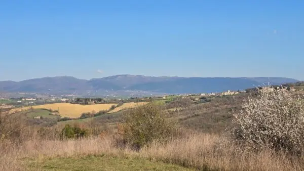 Rustico via Frazione Romazzano, Todi