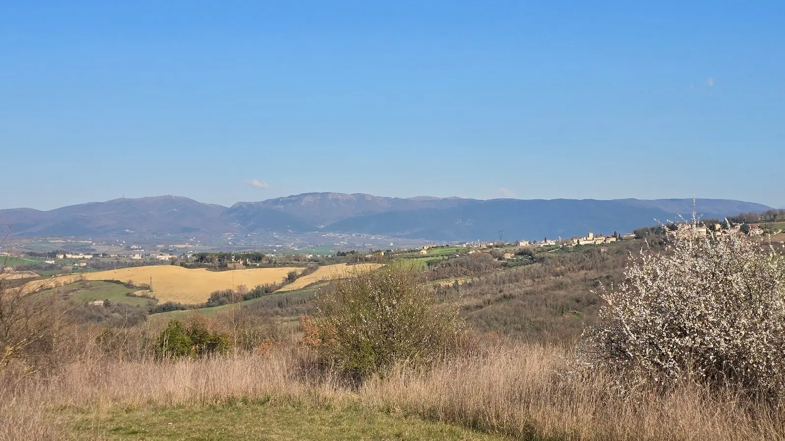 Immagine per Rustico in vendita a Todi via Frazione Romazzano